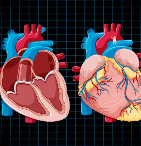 heart-image